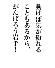 ΋C邱Ƃ邩A΂낤I